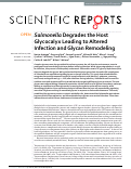 Cover page: Salmonella Degrades the Host Glycocalyx Leading to Altered Infection and Glycan Remodeling.