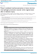 Cover page: Piezo1-mediated mechanosensation in bone marrow macrophages promotes vascular niche regeneration after irradiation injury