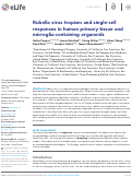 Cover page: Rubella virus tropism and single-cell responses in human primary tissue and microglia-containing organoids.