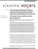 Cover page: The Urokinase Receptor Induces a Mesenchymal Gene Expression Signature in Glioblastoma Cells and Promotes Tumor Cell Survival in Neurospheres