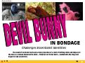 Cover page: Devil Bunny in Bondage: Challenging Essentialist Identities