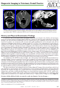 Cover page: Diagnostic Imaging in Veterinary Dental Practice.