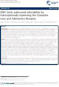 Cover page: ZEB1 limits adenoviral infectability by transcriptionally repressing the Coxsackie virus and Adenovirus Receptor