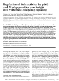 Cover page: Regulation of Sufu activity by p66β and Mycbp provides new insight into vertebrate Hedgehog signaling
