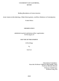 Cover page: Shifting Boundaries of Asian America: Asian American Intermarriage, Ethnic Heterogeneity, and Race Relations in Contemporary United States