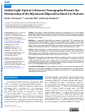 Cover page: Visible Light Optical Coherence Tomography Reveals the Relationship of the Myoid and Ellipsoid to Band 2 in Humans