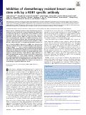 Cover page: Inhibition of chemotherapy resistant breast cancer stem cells by a ROR1 specific antibody