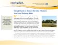 Cover page of Using Wetlands to Remove Microbial Pollutants from Farm Discharge Water