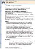 Cover page: Polyamines as mediators of APC-dependent intestinal carcinogenesis and cancer chemoprevention.