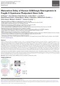 Cover page: Maturation Delay of Human GABAergic Neurogenesis in Fragile X Syndrome Pluripotent Stem Cells