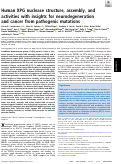 Cover page: Human XPG nuclease structure, assembly, and activities with insights for neurodegeneration and cancer from pathogenic mutations