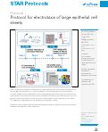 Cover page: Protocol for electrotaxis of large epithelial cell sheets