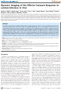 Cover page: Dynamic Imaging of the Effector Immune Response to Listeria Infection In Vivo