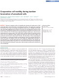 Cover page: Cooperative cell motility during tandem locomotion of amoeboid cells.