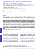 Cover page: Diverse molecular mechanisms contribute to differential expression of human duplicated genes