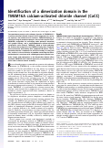 Cover page: Identification of a dimerization domain in the TMEM16A calcium-activated chloride channel (CaCC)