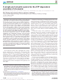 Cover page: A simple and versatile system for the ATP-dependent assembly of chromatin