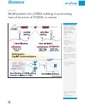 Cover page: Multifaceted role of RNA editing in promoting loss-of-function of PODXL in cancer