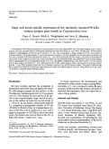 Cover page: Stage and strain specific expression of the tandemly repeated 90 kDa surface antigen gene family in Trypanosoma cruzi