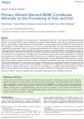 Cover page: Primary Afferent-Derived BDNF Contributes Minimally to the Processing of Pain and Itch.