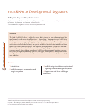Cover page: microRNAs as Developmental Regulators
