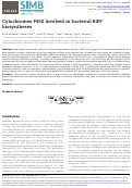 Cover page: Cytochromes P450 involved in bacterial RiPP biosyntheses