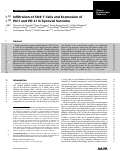 Cover page: Infiltration of CD8 T Cells and Expression of PD-1 and PD-L1 in Synovial Sarcoma.