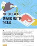 Cover page: Cultured Meat: Growing Meat in the Lab