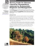 Cover page: Nursery Guide for Diseases Caused by Phytophthora ramorum on Ornamentals: Diagnosis and Management.