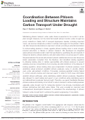 Cover page: Coordination Between Phloem Loading and Structure Maintains Carbon Transport Under Drought.