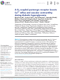 Cover page: A Gs-coupled purinergic receptor boosts Ca2+ influx and vascular contractility during diabetic hyperglycemia