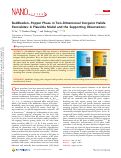 Cover page: Ruddlesden–Popper Phase in Two-Dimensional Inorganic Halide Perovskites: A Plausible Model and the Supporting Observations