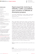 Cover page: Rapid sequential clustering of NMDARs, CaMKII, and AMPARs upon activation of NMDARs at developing synapses