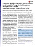 Cover page: Biosynthesis of the microtubule-destabilizing diterpene pseudolaric acid B from golden larch involves an unusual diterpene synthase