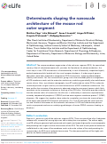 Cover page: Determinants shaping the nanoscale architecture of the mouse rod outer segment.