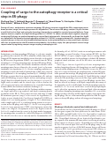 Cover page of Coupling of cargo to the autophagy receptor is a critical step in ER-phagy.