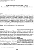Cover page: Rodent Neural Progenitor Cells Support Functional Recovery after Cervical Spinal Cord Contusion