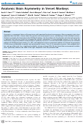 Cover page: Anatomic Brain Asymmetry in Vervet Monkeys