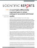 Cover page: A novel highly differentially expressed gene in wheat endosperm associated with bread quality