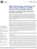 Cover page: DNA binding polarity, dimerization, and ATPase ring remodeling in the CMG helicase of the eukaryotic replisome