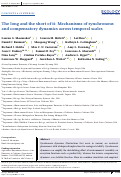 Cover page: The long and the short of it: Mechanisms of synchronous and compensatory dynamics across temporal scales