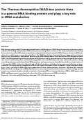 Cover page: The Thermus thermophilus DEAD-box protein Hera is a general RNA binding protein and plays a key role in tRNA metabolism