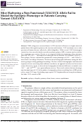 Cover page: Mice Harboring a Non-Functional CILK1/ICK Allele Fail to Model the Epileptic Phenotype in Patients Carrying Variant CILK1/ICK