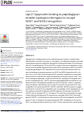 Cover page: LipL21 lipoprotein binding to peptidoglycan enables Leptospira interrogans to escape NOD1 and NOD2 recognition