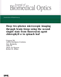 Cover page: Deep two-photon microscopic imaging through brain tissue using the second singlet state from fluorescent agent chlorophyll α in spinach leaf