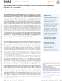 Cover page: Synchronization of the circadian clock to the environment tracked in real time.