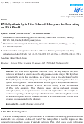 Cover page: RNA Synthesis by in Vitro Selected Ribozymes for Recreating an RNA World