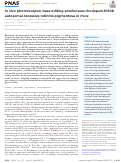 Cover page: In vivo photoreceptor base editing ameliorates rhodopsin-E150K autosomal-recessive retinitis pigmentosa in mice.