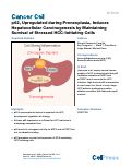 Cover page: p62, Upregulated during Preneoplasia, Induces Hepatocellular Carcinogenesis by Maintaining Survival of Stressed HCC-Initiating Cells