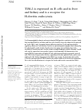 Cover page: TIM-2 is expressed on B cells and in liver and kidney and is a receptor for H-ferritin endocytosis.